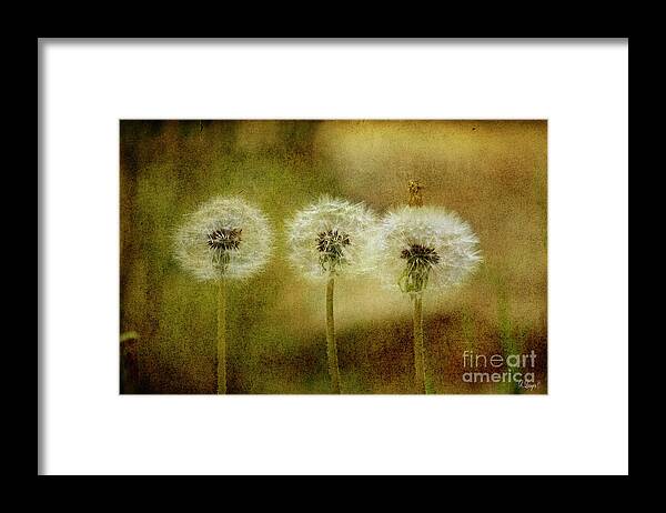 Flowers Framed Print featuring the digital art The Three by Rebecca Langen