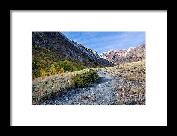 Eastern Sierra Framed Print featuring the photograph The Trail To McGee Creek by Mimi Ditchie