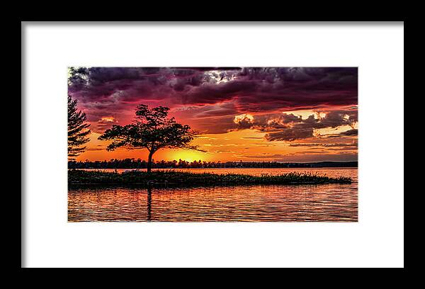 Sunset Framed Print featuring the photograph The tree by Joe Holley