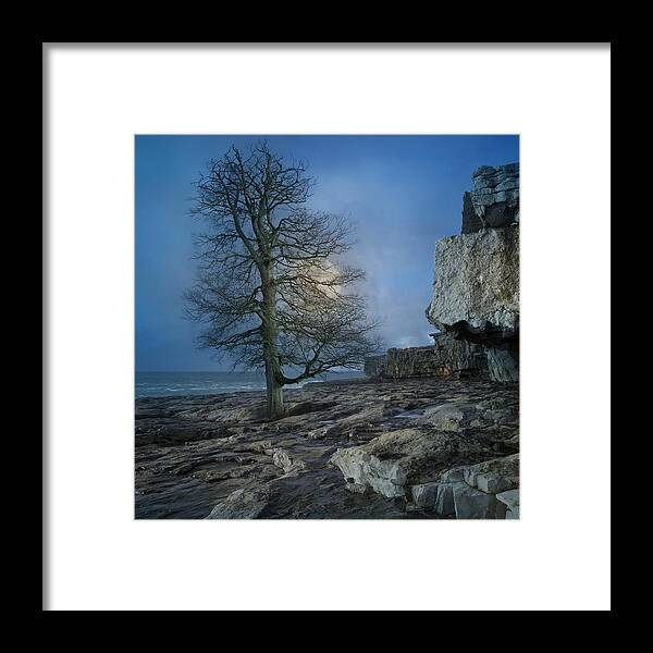 Ireland Framed Print featuring the digital art The Tree of Inis Mor by Betsy Knapp