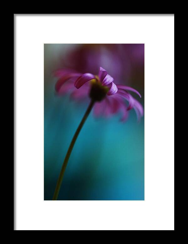 Tags: Framed Print featuring the photograph The View Above by Kym Clarke