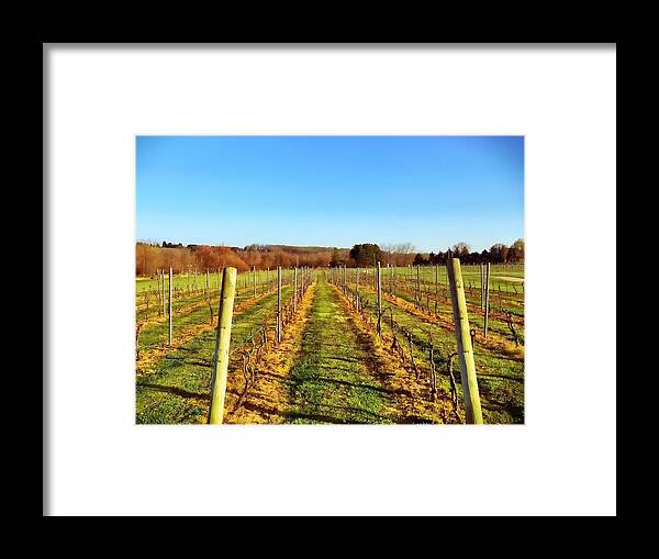 Landscape Framed Print featuring the photograph The Vineyard by Chris Montcalmo