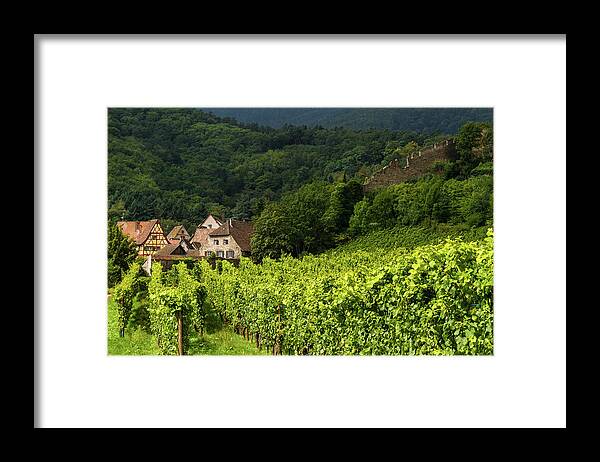 Vineyards Framed Print featuring the photograph The vineyards of Kaysersberg - Alsace - France by Paul MAURICE