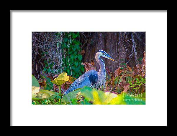 Nature Framed Print featuring the painting Majestic Great Blue Heron by DB Hayes