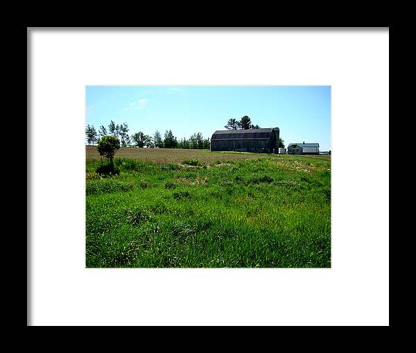 Landscape Framed Print featuring the photograph The Walk Back by Todd Zabel