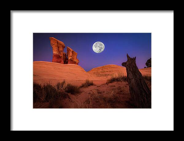 Aluminium Framed Print featuring the photograph The Watcher by Edgars Erglis