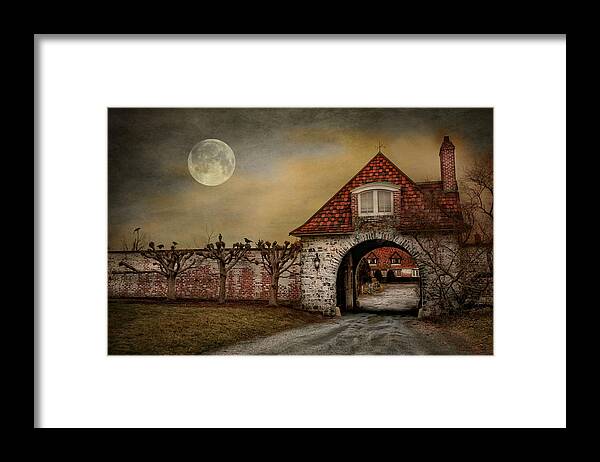 Haunting Framed Print featuring the photograph The Watcher by Robin-Lee Vieira