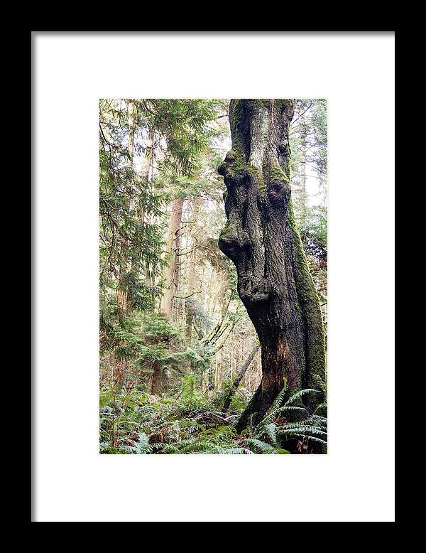 Adventures Framed Print featuring the photograph The Watcher by Tim Dussault