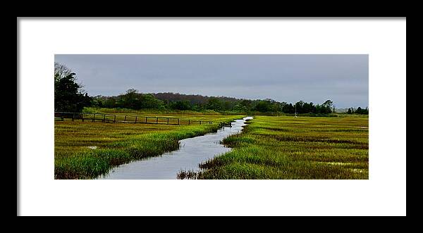 Marsh Framed Print featuring the photograph The Water Road Through the Marsh by Shawn M Greener