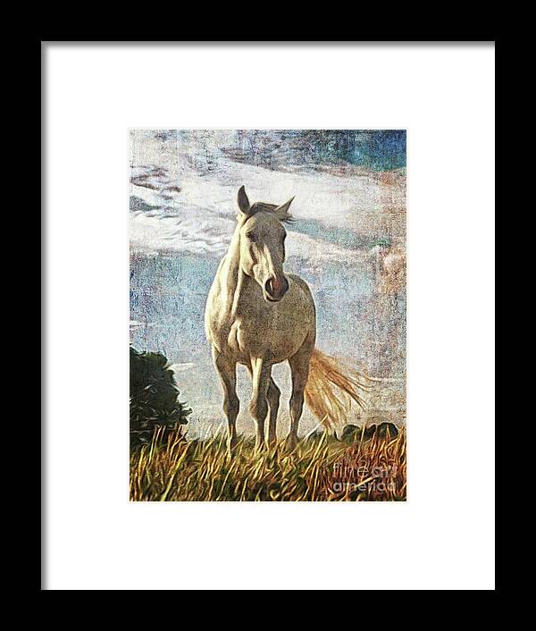 Horse Framed Print featuring the painting The white horse Gusti by Horst Rosenberger