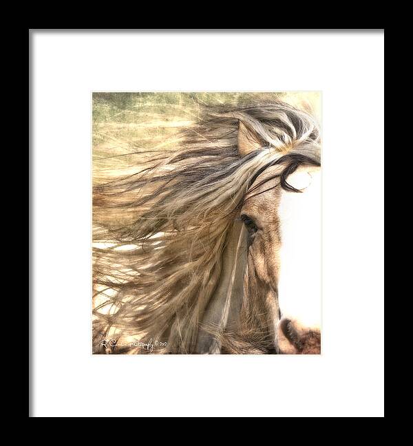 Horse Framed Print featuring the photograph The Wild Side by Ryan Courson