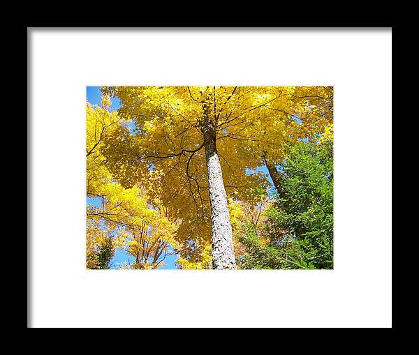 Autumn Framed Print featuring the photograph The Yellow Umbrella - Photograph by Jackie Mueller-Jones