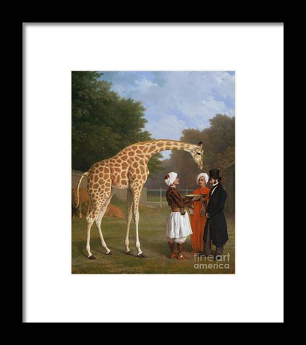 The Zoological Garden Framed Print featuring the painting The Zoological Garden by MotionAge Designs