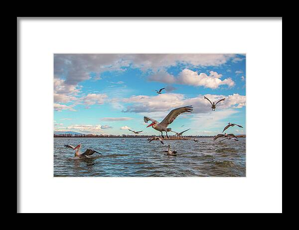 Animal Framed Print featuring the photograph They are coming.... by Jivko Nakev