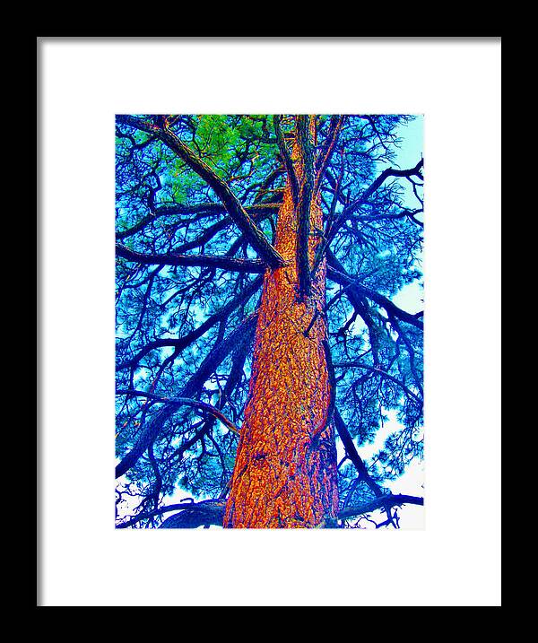 Blues Framed Print featuring the photograph Things Are Looking Up by Marilyn Diaz
