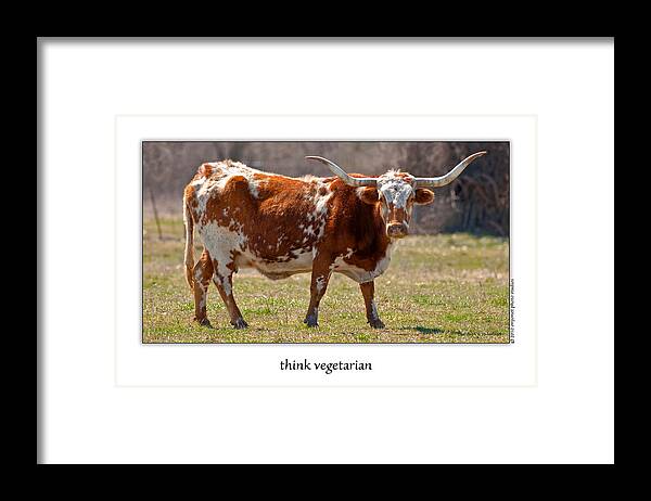 Animal Framed Print featuring the photograph Think Vegetarian by Onyonet Photo studios