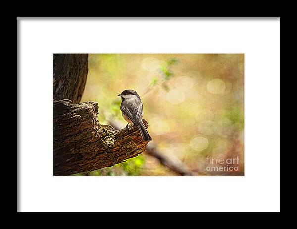 Bird Framed Print featuring the photograph Thinking of Spring by Lois Bryan