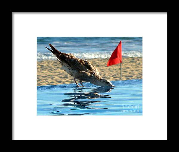 Travel Framed Print featuring the photograph Thirst by Anna Duyunova