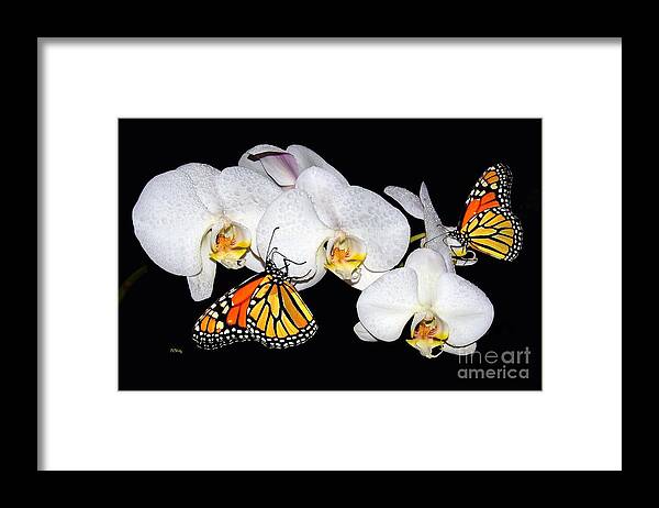  Framed Print featuring the photograph Thirsty Butterflies by Patrick Witz