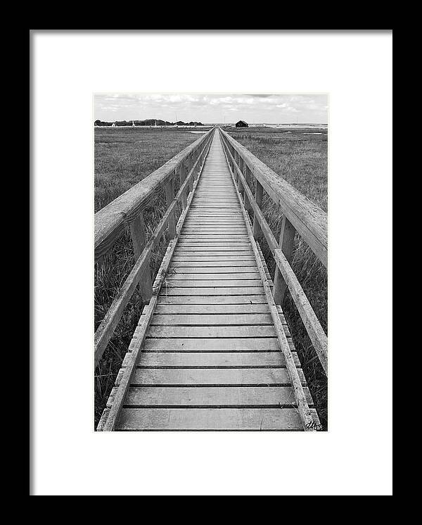 This Way Framed Print featuring the photograph This Way by Laura Hol Art