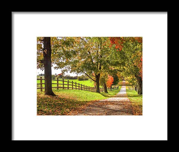 Farm Framed Print featuring the photograph Thomas Farm Lane by Andy Smetzer
