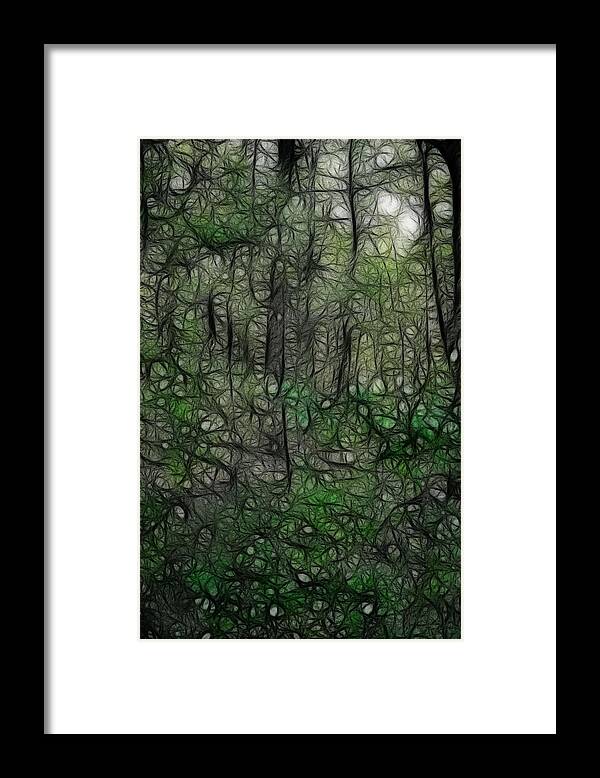 Thoreau Framed Print featuring the photograph Thoreau Woods Fractal by Lawrence Christopher