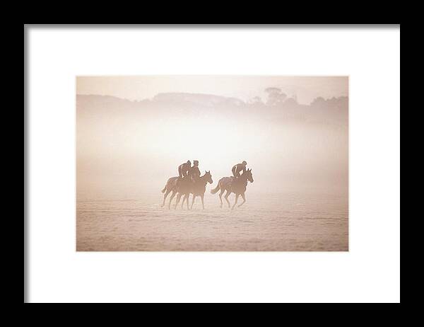 Activity Framed Print featuring the photograph Thoroughbred Horses In Training by The Irish Image Collection 