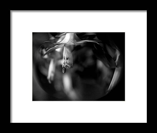 Cactus Framed Print featuring the photograph Thou Art Beautiful by Theresa Tahara