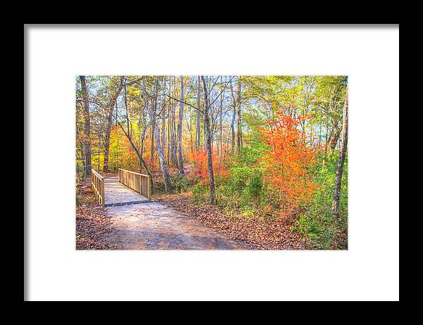 Carolina Thread Trail Framed Print featuring the photograph Thread Trail 2016 06 by Jim Dollar