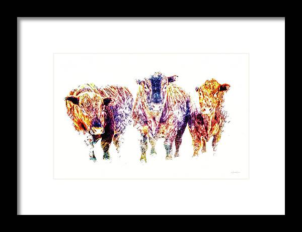 Bulls Framed Print featuring the photograph Three Amigos by Amanda Smith