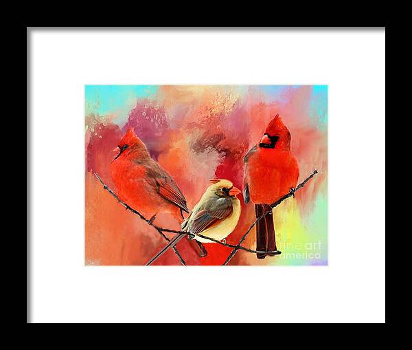 Northern Cardinal Framed Print featuring the photograph Three Cardinals in Summer by Janette Boyd
