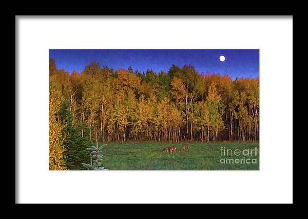 Minnesota Framed Print featuring the digital art Three Deer and A Moon by Lori Dobbs