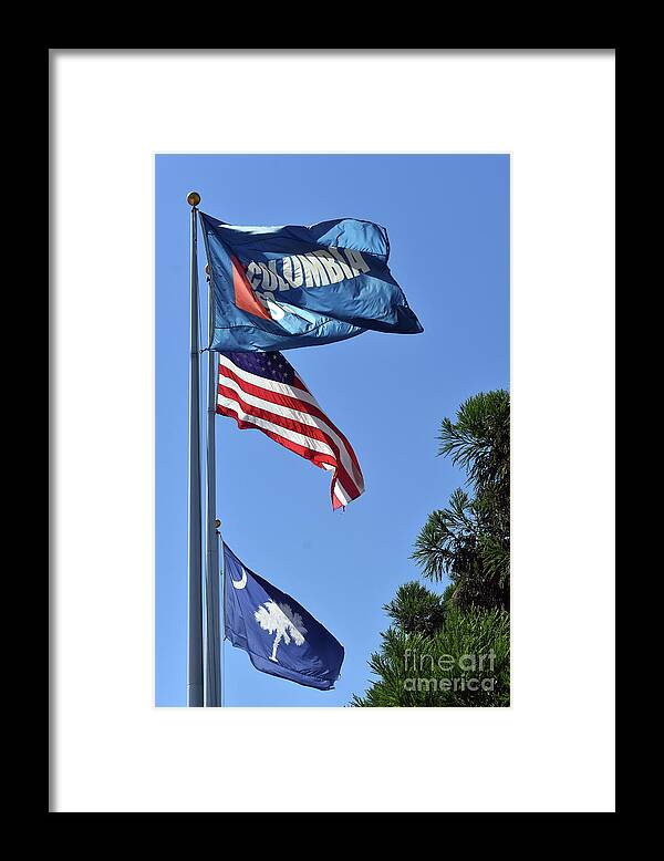 Scenic Framed Print featuring the photograph Three Flags by Skip Willits