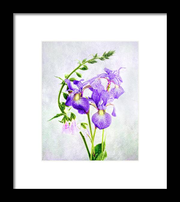 Ris Framed Print featuring the photograph Three Japanese Irises with Foxgloves by Louise Kumpf
