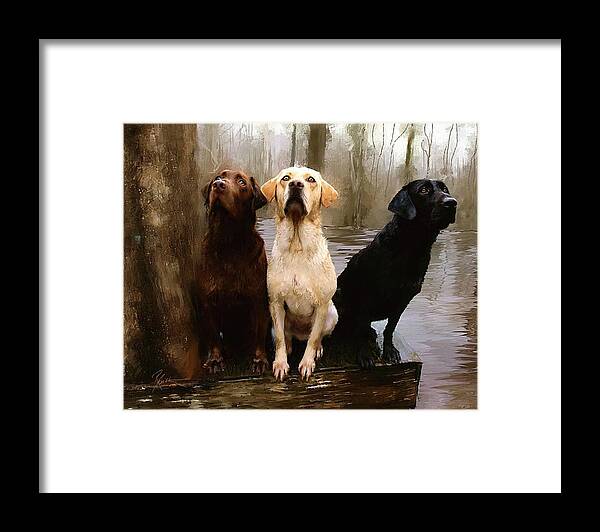 Lab Framed Print featuring the painting Three Labs by Robert Smith