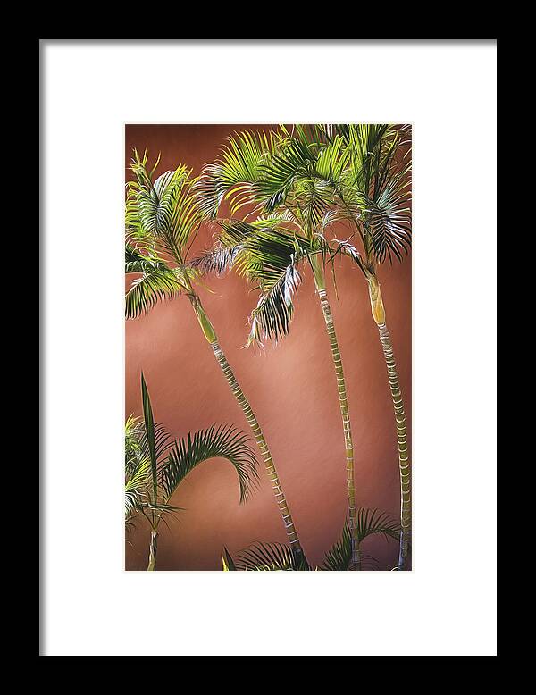 Palm Trees Framed Print featuring the photograph Three Palms by Pamela Steege