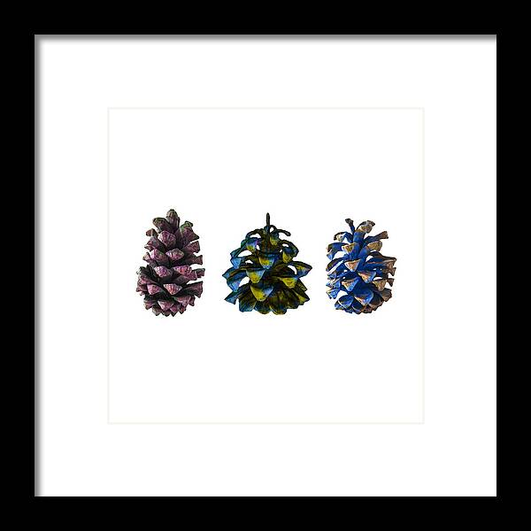 Pine Cones Pine Framed Print featuring the photograph Three Pine Cones by Stan Magnan