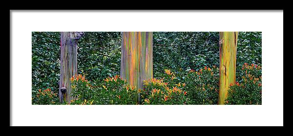 Hawaii Framed Print featuring the photograph Three Rainbows by Francesco Emanuele Carucci