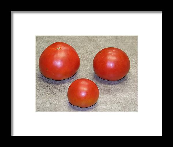 Fruit Framed Print featuring the photograph Three Red Tomatoes by Paula Coley