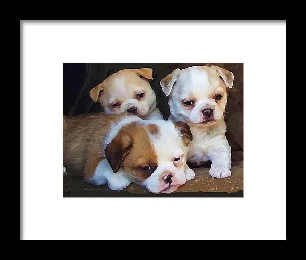 Animal Framed Print featuring the digital art Three Sweeties by Shelli Fitzpatrick