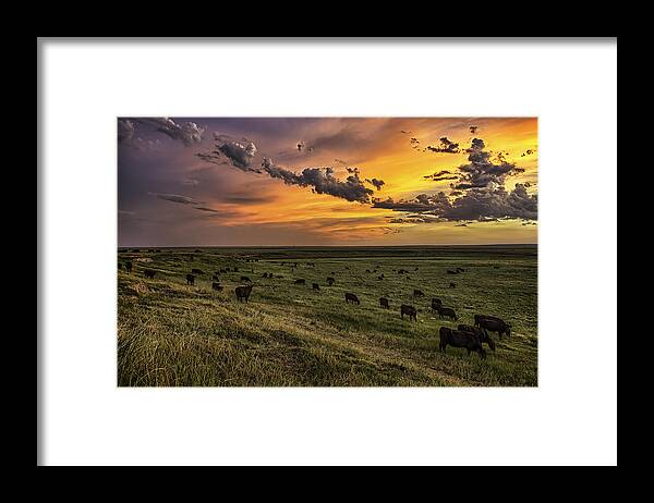 Ranch Framed Print featuring the photograph Three by Thomas Zimmerman