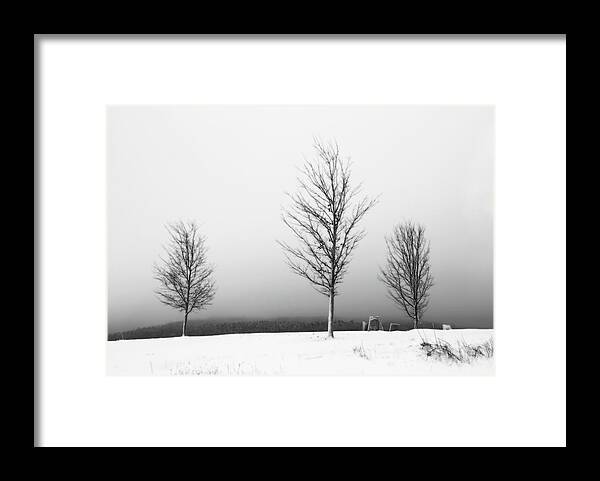 Black And White Winter Landscape Framed Print featuring the photograph Three Trees in Winter by Brooke T Ryan