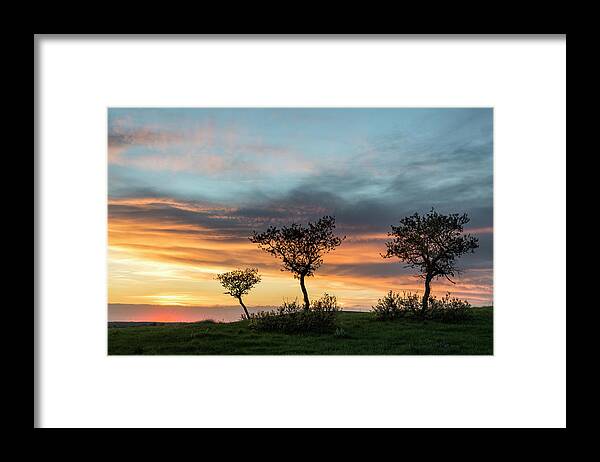 Sunset Framed Print featuring the photograph Three Trees On A Hill by Denise Bush