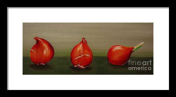 Tulip Bulbs Framed Print featuring the painting Three Tulip Bulbs by Cami Lee