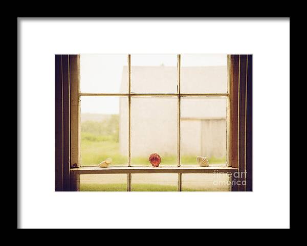 Our Town Framed Print featuring the photograph Three Window Shells by Craig J Satterlee