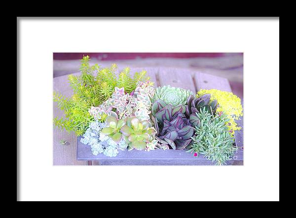 Plants Framed Print featuring the photograph Thrillers by Merle Grenz