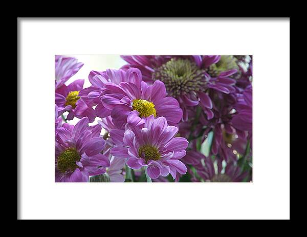 Purple Framed Print featuring the photograph Thriving among its likes. by Elena Perelman