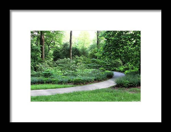 Garden Framed Print featuring the photograph Through the Garden by Trina Ansel