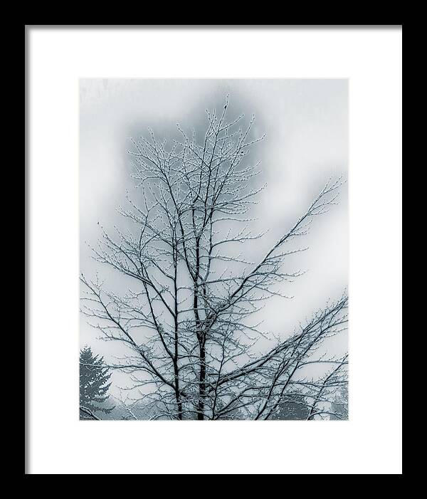 Snow Framed Print featuring the photograph Snow by Thomas Hall