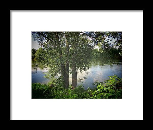 Trees Framed Print featuring the photograph Through The Trees by Vesna Martinjak